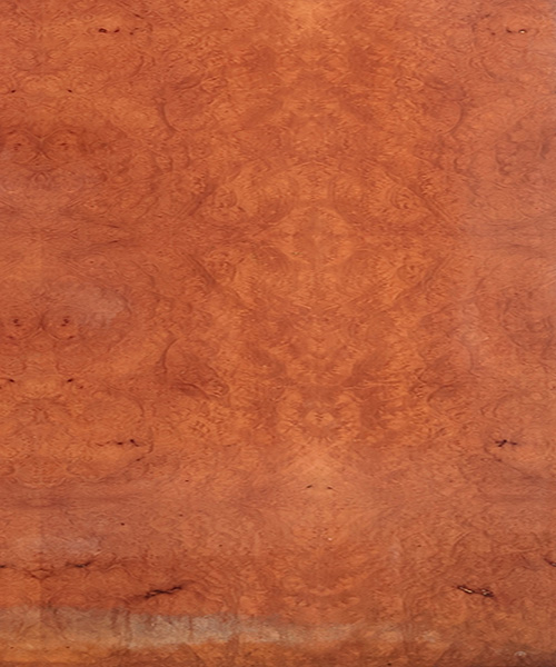 MADRONA BURL